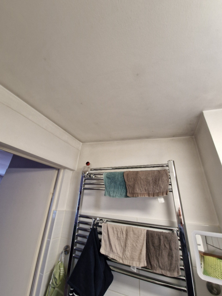 BAU-Forumsbeitrag: Rostflecken von Schrauben in Gipskartondecke: Wie dauerhaft überstreichen? BAU-Forumsbeitrag: Rostflecken von Schrauben in Gipskartondecke: Wie dauerhaft überstreichen?