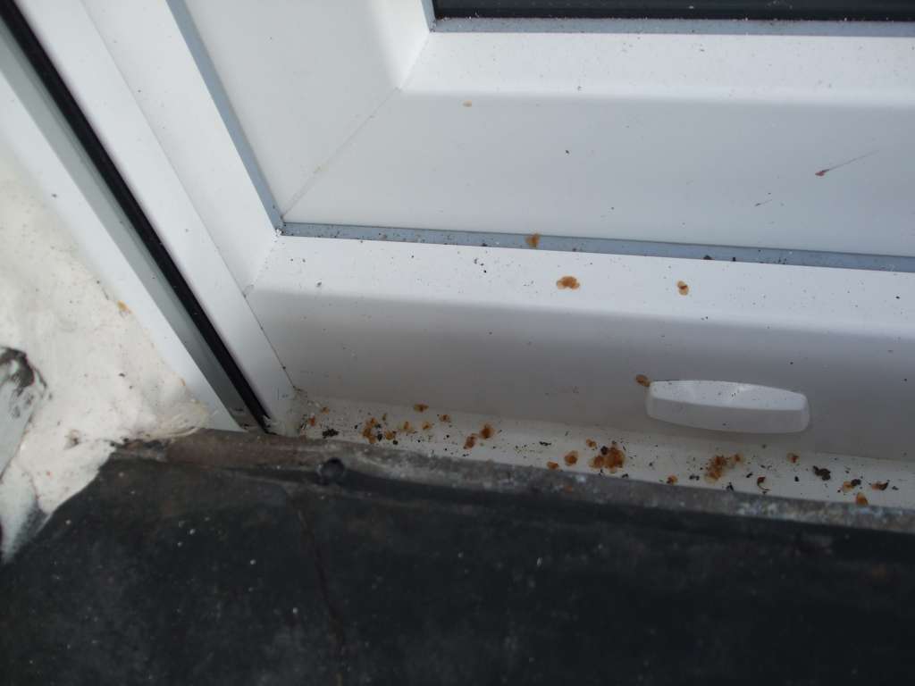 BAU-Forumsbeitrag: Wassereintritt durch Terrassentür: Lösungen für Höhenunterschied zwischen Terrasse und Wohnzimmer? BAU-Forumsbeitrag: Wassereintritt durch Terrassentür: Lösungen für Höhenunterschied zwischen Terrasse und Wohnzimmer?