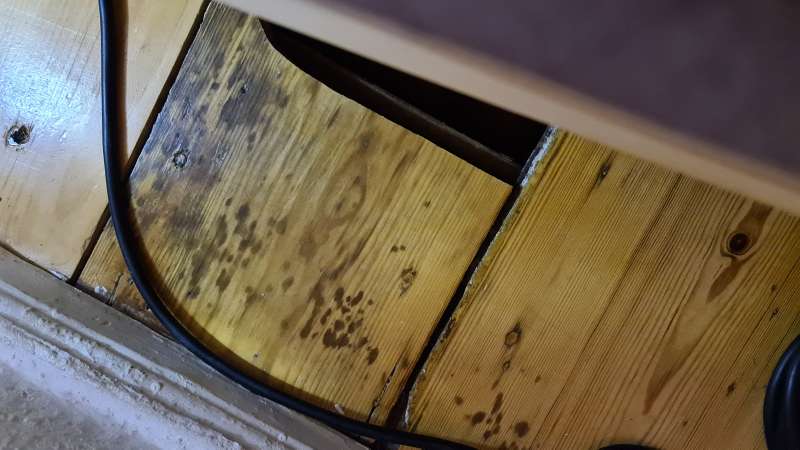 BAU.DE / BAU-Forum: 1. Bild zu Frage "Geruch und Verfärbung Holzdiele" im Forum "Holzschutz, Holzschäden, Holzsanierung" BAU.DE / BAU-Forum: 1. Bild zu Frage "Geruch und Verfärbung Holzdiele" im Forum "Holzschutz, Holzschäden, Holzsanierung"