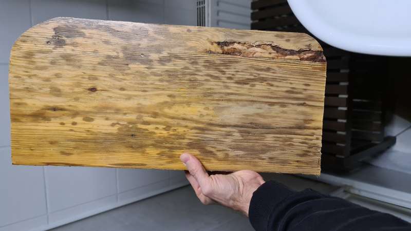 BAU.DE / BAU-Forum: 2. Bild zu Frage "Geruch und Verfärbung Holzdiele" im Forum "Holzschutz, Holzschäden, Holzsanierung" BAU.DE / BAU-Forum: 2. Bild zu Frage "Geruch und Verfärbung Holzdiele" im Forum "Holzschutz, Holzschäden, Holzsanierung"