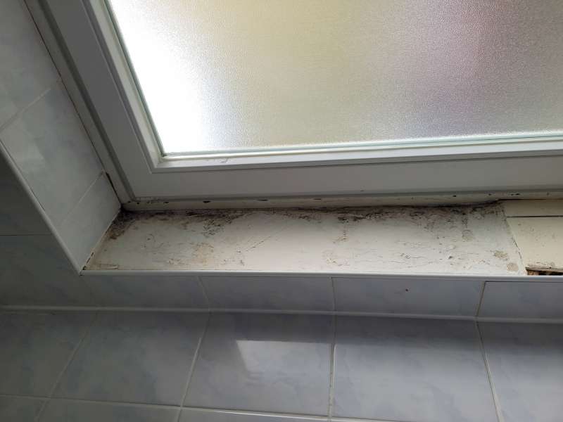 BAU.DE / BAU-Forum: 1. Bild zu Frage "Schimmel unter Fliesen" im Forum "Sanitär, Bad, Dusche, WC" BAU.DE / BAU-Forum: 1. Bild zu Frage "Schimmel unter Fliesen" im Forum "Sanitär, Bad, Dusche, WC"