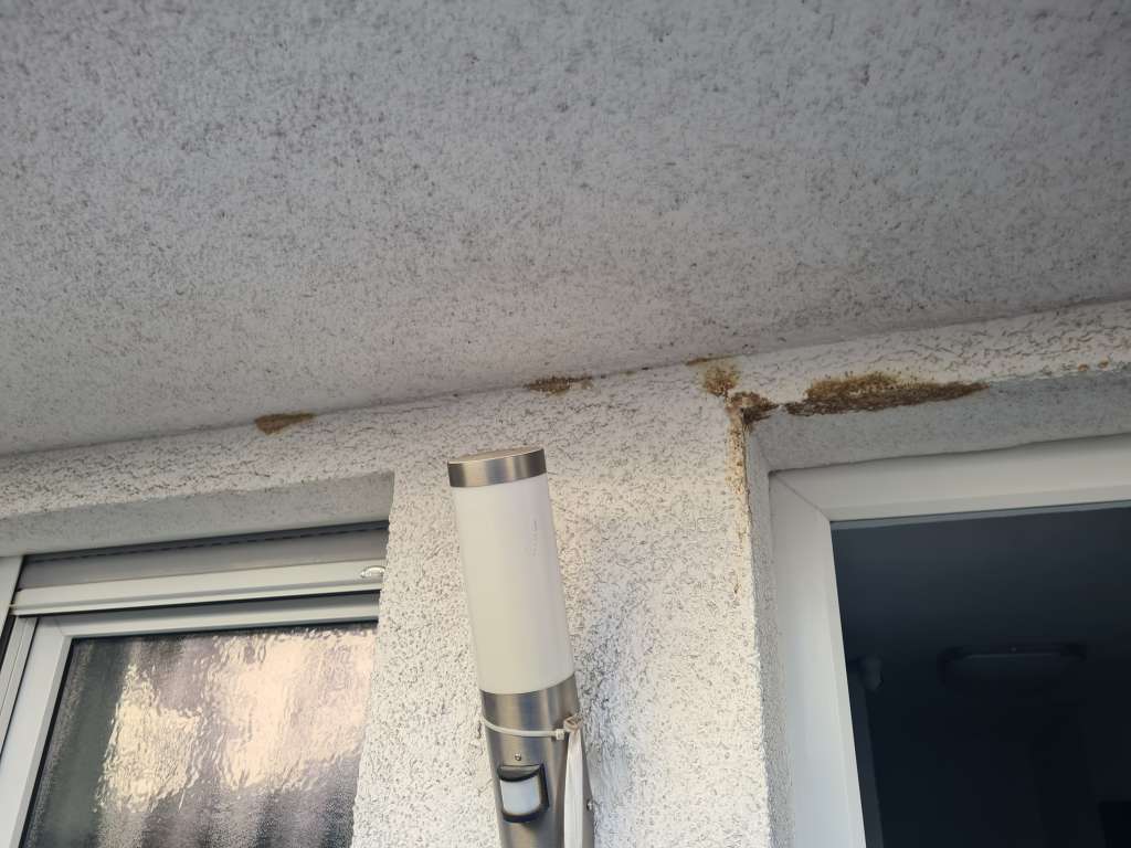 BAU-Forumsbeitrag: Braunfärbung am Außenputz im Eingangsbereich - Ursachen und Lösungen BAU-Forumsbeitrag: Braunfärbung am Außenputz im Eingangsbereich - Ursachen und Lösungen