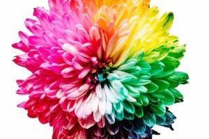 Fototapete mit Architektur - ein Rezept f&uuml;r ein modernes Wohnzimmer - Bild: Sharon Pittaway / Unsplash