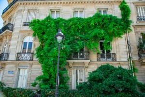 Lochbleche - sie halten Einzug in den privaten Bereich - Bild: Daphné Be Frenchie / Unsplash