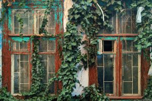 So erkennen Sie den perfekten Zeitpunkt f&uuml;r den Austausch Ihrer Fenster - Bild: Vadim Babenko / Unsplash