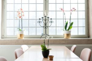 Kunststofffenster im Vergleich: Was VEKA als Marke auszeichnet - Bild: Michal Vrba / Unsplash Kunststofffenster im Vergleich: Was VEKA als Marke auszeichnet - Bild: Michal Vrba / Unsplash