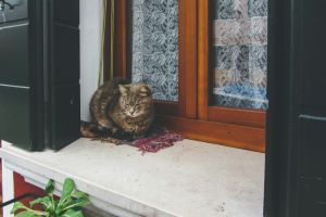 Fensterb&auml;nke konfigurieren - Das sind die wichtigsten Punkte - Bild: Casey Lovegrove / Unsplash