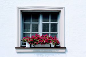 Fensterbänke konfigurieren - Das sind die wichtigsten Punkte - Bild: Peggy / Pixabay Fensterbänke konfigurieren - Das sind die wichtigsten Punkte - Bild: Peggy / Pixabay