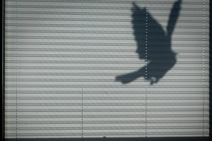 Materialkunde für Profis: Hochwertige Stoffe und Technologien im Plissee-Markt - Bild: Mavi Atlas / Unsplash Materialkunde für Profis: Hochwertige Stoffe und Technologien im Plissee-Markt - Bild: Mavi Atlas / Unsplash