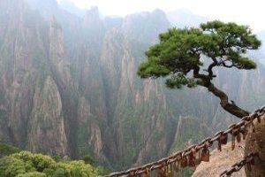 Immobilien im Ausland bauen oder kaufen: Vor- und Nachteile - Bild: Weichen / Pixabay