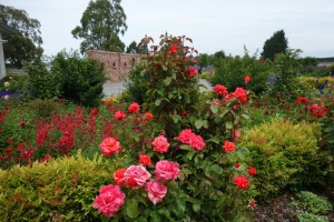 Die Vorteile von heimischen Pflanzen f&uuml;r Biodiversit&auml;t und Garten - Bild: Arthur Tseng / Unsplash
