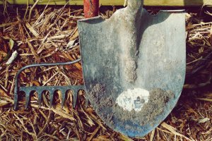 Baumarkt ist ein Einzelhandelsgeschäft für Baumaterial, Werkzeug und Heimwerkerbedarf. Baumarkt ist ein Einzelhandelsgeschäft für Baumaterial, Werkzeug und Heimwerkerbedarf.