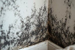 Schimmelprävention im Bad: Leitfaden zur optimalen Raumklimasteuerung 2026 - Bild: BauKI / BAU.DE Schimmelprävention im Bad: Leitfaden zur optimalen Raumklimasteuerung 2026 - Bild: BauKI / BAU.DE