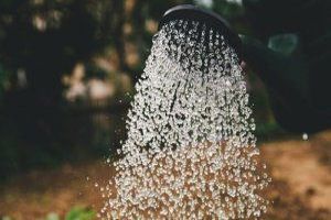 Grünes Wohnen - Warum Hängepflanzen jedes Zuhause verschönern - Bild: Markus Spiske / Unsplash Grünes Wohnen - Warum Hängepflanzen jedes Zuhause verschönern - Bild: Markus Spiske / Unsplash