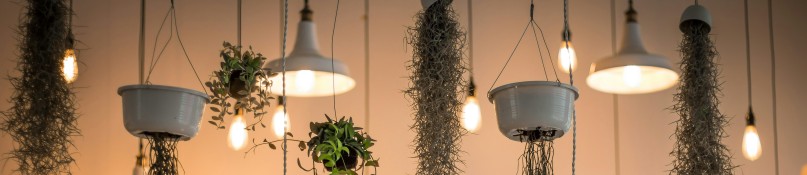 Bauplanung: Energieeffiziente Beleuchtung von Anfang an Bauplanung: Energieeffiziente Beleuchtung von Anfang an