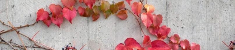 Innovativer Betonzusatzstoff mindert Schadstoffbelastung Innovativer Betonzusatzstoff mindert Schadstoffbelastung