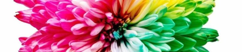 Fototapete mit Architektur - ein Rezept für ein modernes Wohnzimmer Fototapete mit Architektur - ein Rezept für ein modernes Wohnzimmer