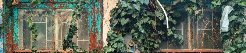 So erkennen Sie den perfekten Zeitpunkt für den Austausch Ihrer Fenster So erkennen Sie den perfekten Zeitpunkt für den Austausch Ihrer Fenster