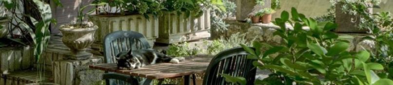 Einladendes Outdoor-Event: Holen Sie Hollywood-Flair in den Garten! Einladendes Outdoor-Event: Holen Sie Hollywood-Flair in den Garten!