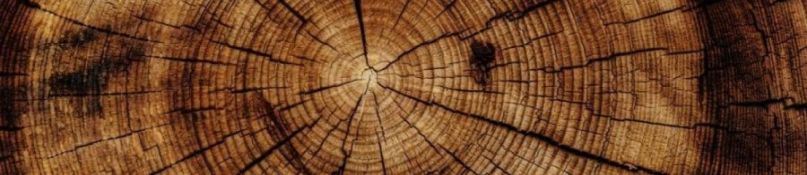 Der Herbst kommt: Schützen Sie Ihre Holztreppen Der Herbst kommt: Schützen Sie Ihre Holztreppen