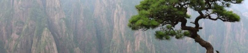 Immobilien im Ausland bauen oder kaufen: Vor- und Nachteile Immobilien im Ausland bauen oder kaufen: Vor- und Nachteile