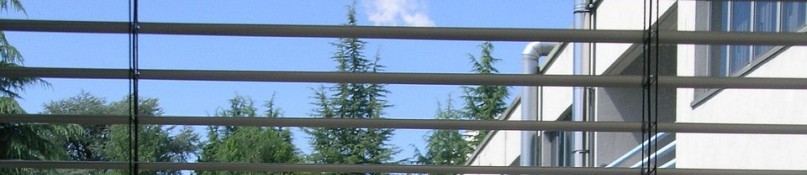 Rollläden richtig pflegen und warten: So bleiben sie jahrelang funktionsfähig Rollläden richtig pflegen und warten: So bleiben sie jahrelang funktionsfähig