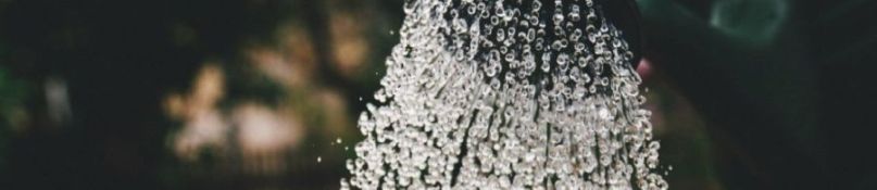 Nachhaltige Abwasserbehandlung - welche Möglichkeiten stehen Ihnen offen und worauf gilt es zu achten? Nachhaltige Abwasserbehandlung - welche Möglichkeiten stehen Ihnen offen und worauf gilt es zu achten?