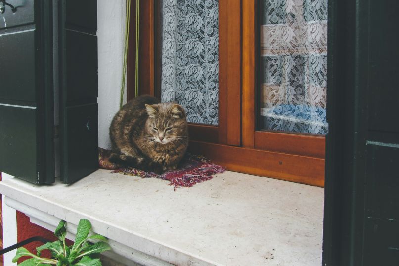 Neue Fensterb&auml;nke bestellen - Diese Details gibt es zu beachten