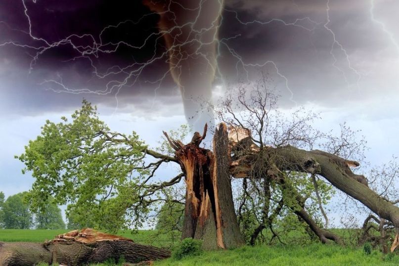 Das Risiko von Sch&auml;den minimieren